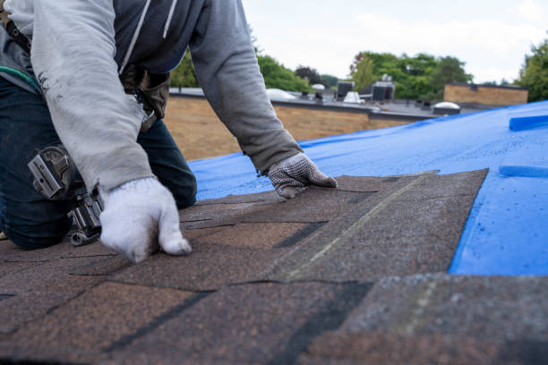 Fast & Reliable Emergency Roof Repairs in Hyde Park, UT
